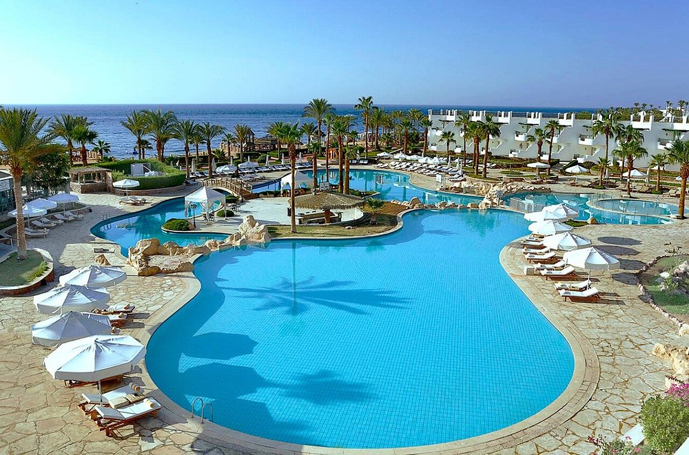 صورة المنتج